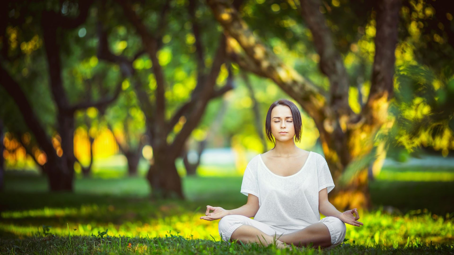 体育竞猜网站-绝杀！维尼修斯补时世界波刺穿曼联，伯纳乌见证奇迹，维尼修斯补时世界波绝杀曼联，伯纳乌沸腾见证奇迹